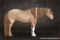 Horse Color:White Spotted Brown Pearl 