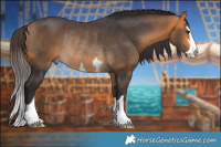 Horse Color:Buckskin Rabicano