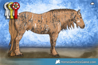 Horse Color:White Spotted Brown Rabicano  Brindle