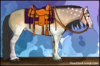 Horse Color:White Spotted Buckskin Dun Brindle