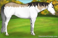 Horse Color:Bay Roan Dun Splash
