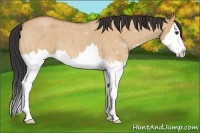 Horse Color:Bay Roan Dun Splash
