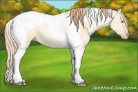 Horse Color:Smoky Grullo Pearl Tobiano