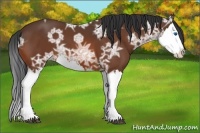 Horse Color:Bay Ice Splash