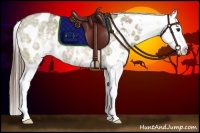 Horse Color:White Spotted Buckskin Dun Near Leopard