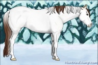 Horse Color:White Spotted Red Dun Roan Tobiano 