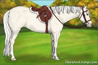 Horse Color:Silver Perlino Dun