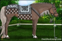 Horse Color:Silver Black 
