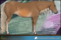 Horse Color:Chocolate Palomino 