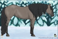 Horse Color:Grullo 