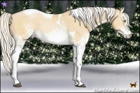 Horse Color:White Spotted Silver Bay Pearl Dun Tobiano 
