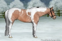 Horse Color:Bay Ice Tobiano