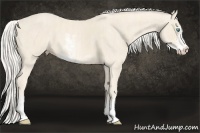 Horse Color:Cremello Sabino  Brindle
