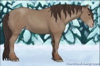 Horse Color:Classic Champagne 