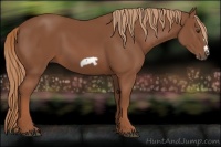 Horse Color:Chestnut Frame