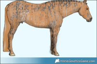 Horse Color:White Spotted Silver Black Chinchilla  Brindle