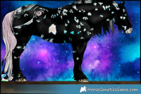 Horse Color:ERROR: UNKNOWN ANOMALY Brindle