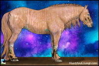 Horse Color:ERROR: UNKNOWN ANOMALY Brindle