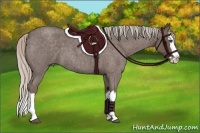 Horse Color:Silver Blue Roan Splash