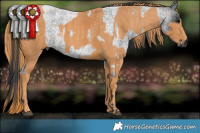 Horse Color:Blue Roan  Brindle