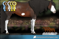 Horse Color:Liver Chestnut Splash Frame  Brindle