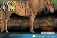 Horse Color:Liver Chestnut Splash Frame Brindle