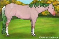Horse Color:Watercolor White Spotted Bay Dun 