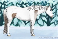 Horse Color:Liver Chestnut Sabino Splash Tobiano Rabicano