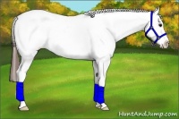 Horse Color:Bay Snowcap 
