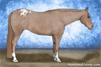 Horse Color:Chestnut Varnish 