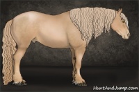 Horse Color:Chestnut Pearl Sabino Rabicano