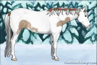Horse Color:Bay Roan Dun Splash Tobiano