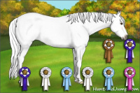 Horse Color:Gray Buckskin Roan Dun Splash 