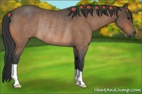 Horse Color:Buckskin Roan Rabicano 