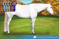 Horse Color:Buckskin Tobiano Frame Appaloosa Rabicano