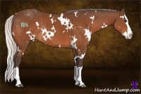 Horse Color:White Spotted Silver Bay Splash Rabicano