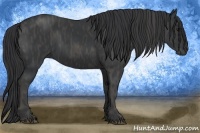 Horse Color:Black Brindle