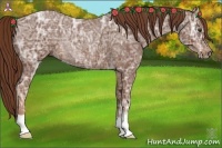 Horse Color:Chestnut Ice Rabicano