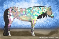 Horse Color:Bay Dun Rabicano