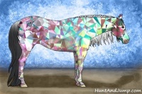 Horse Color:Bay Sabino Tobiano Rabicano 