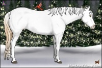 Horse Color:Chestnut Pearl Near Leopard Rabicano 