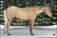 Horse Color:Silver Bay Pearl Sabino 