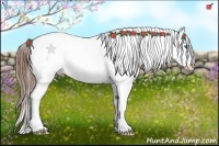Horse Color:Red Dun Splash Tobiano Blanket Rabicano 