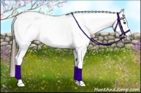 Horse Color:Liver Chestnut Tobiano Blanket 