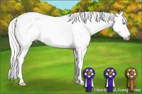 Horse Color:Gray Perlino Dun
