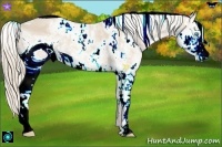 Horse Color:ERROR: UNKNOWN ANOMALY and ERROR: UNKNOWN ANOMALY