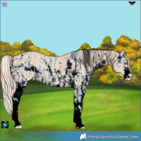 Horse Color:ERROR: UNKNOWN ANOMALY and ERROR: UNKNOWN ANOMALY