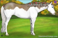 Horse Color:Silver Grullo Splash