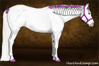 Horse Color:Silver Amber Cream Champagne Roan Dun Splash Tobiano Frame Appaloosa Rabicano 