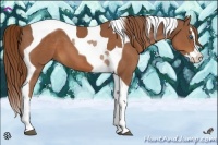 Horse Color:Chestnut Splash Tobiano